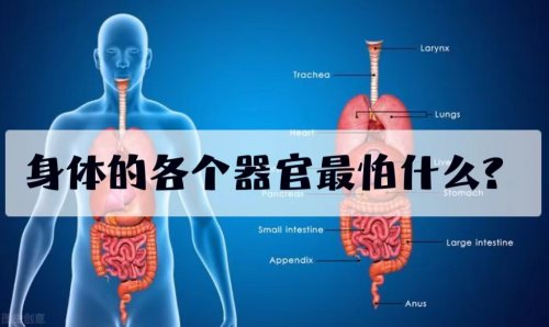 各科醫(yī)生來告訴我們?nèi)梭w的各器官最怕什么