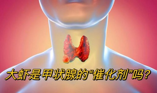 吃大蝦是否催化甲狀腺結(jié)節(jié)患者應該少吃哪些食物