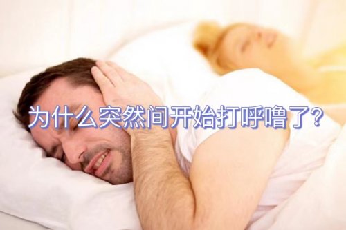 以前從來(lái)不打呼嚕為什么近期突然打呼嚕了